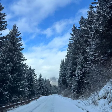 Ai Suma 4* Бормио