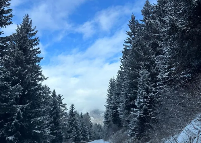 Ai Suma 4* Бормио